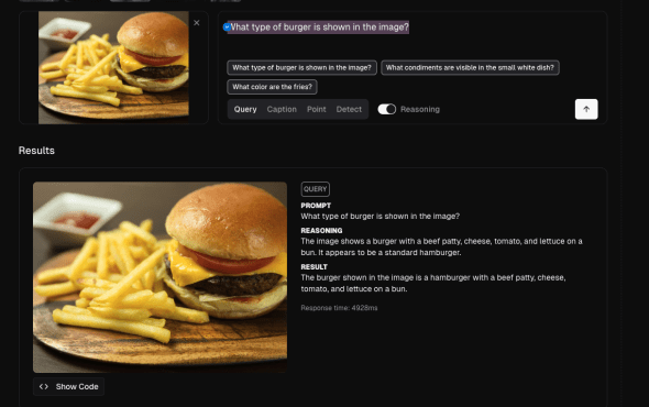 Moondream 3 screenshot #2